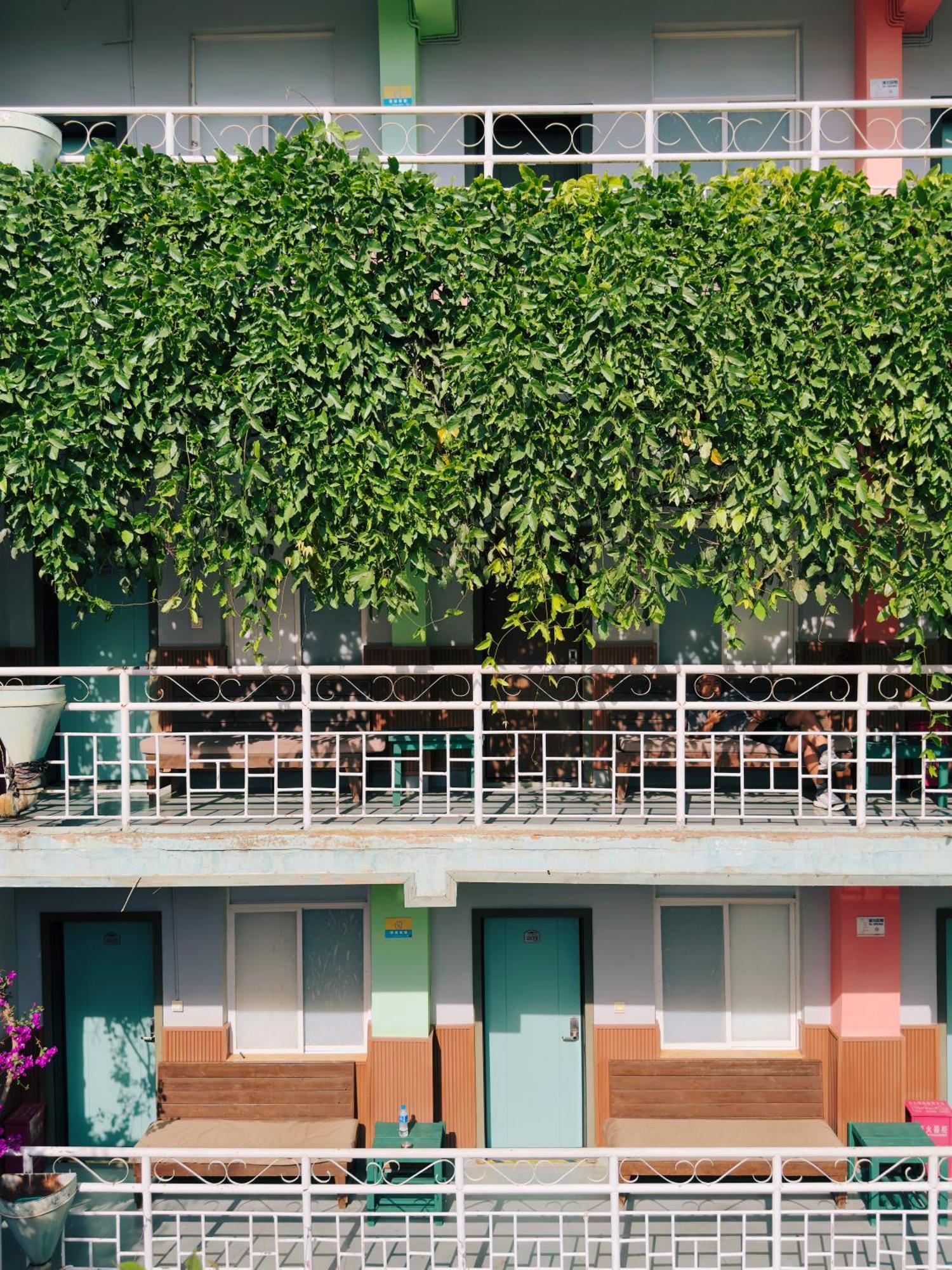The Cloudland International Youth Hostel Close To The City Center,10 Min Walks To The Subway, Close To The Night Market, Old Street, Green Lake, English-Speaking Service, Free Activity Convenient Payment And Visa Cards Are Accepted Куньмин Экстерьер фото
