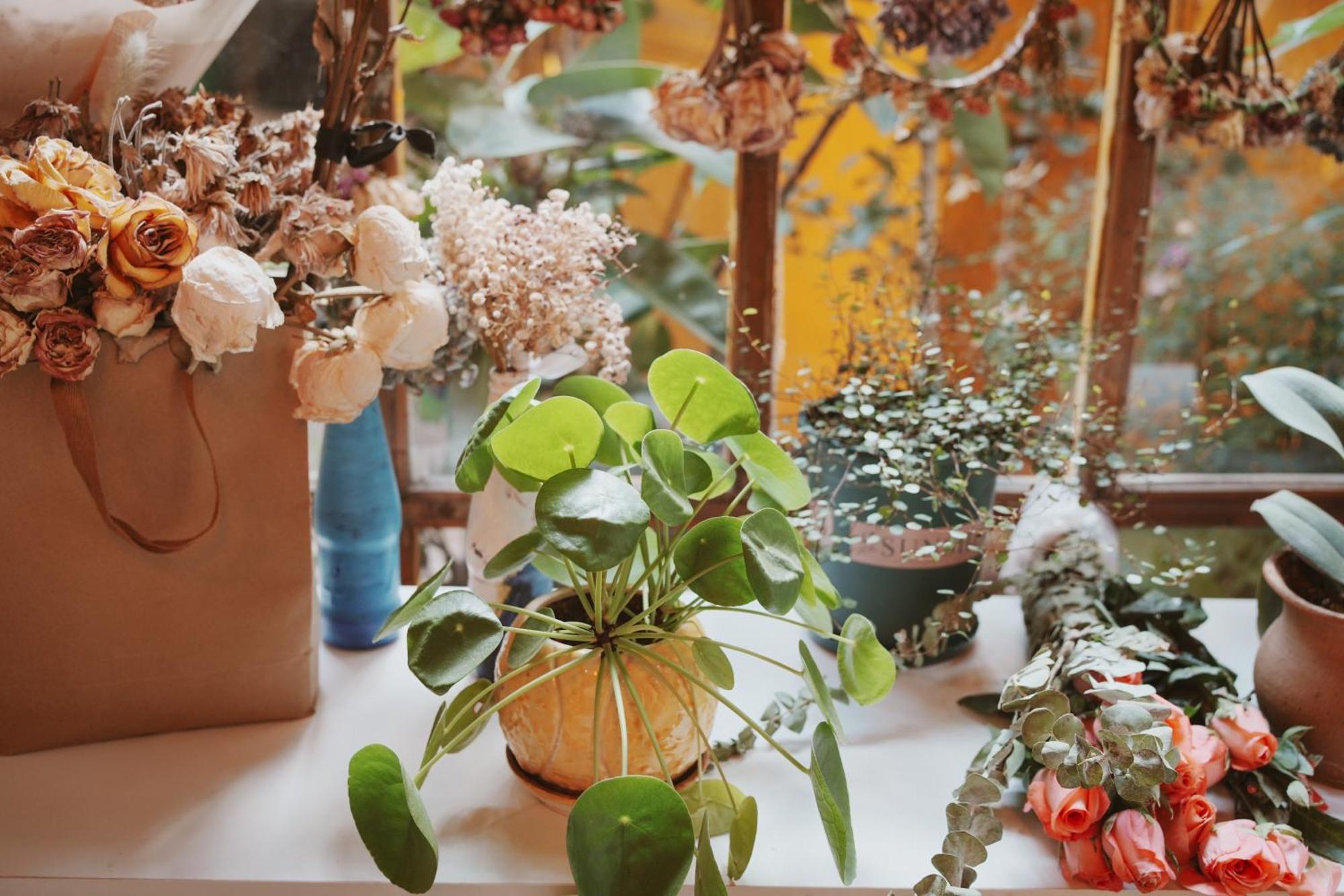 The Cloudland International Youth Hostel Close To The City Center,10 Min Walks To The Subway, Close To The Night Market, Old Street, Green Lake, English-Speaking Service, Free Activity Convenient Payment And Visa Cards Are Accepted Куньмин Экстерьер фото