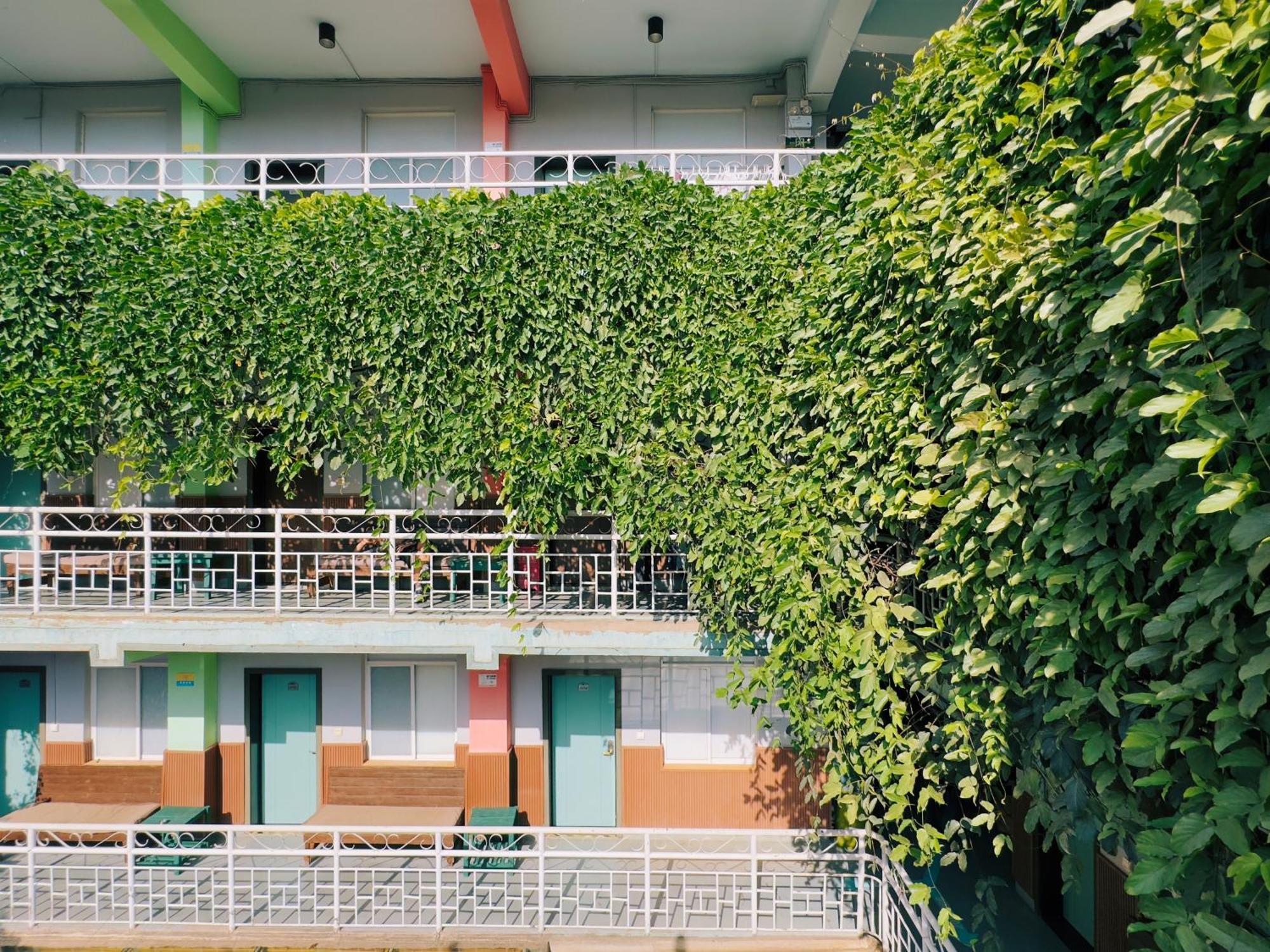 The Cloudland International Youth Hostel Close To The City Center,10 Min Walks To The Subway, Close To The Night Market, Old Street, Green Lake, English-Speaking Service, Free Activity Convenient Payment And Visa Cards Are Accepted Куньмин Экстерьер фото