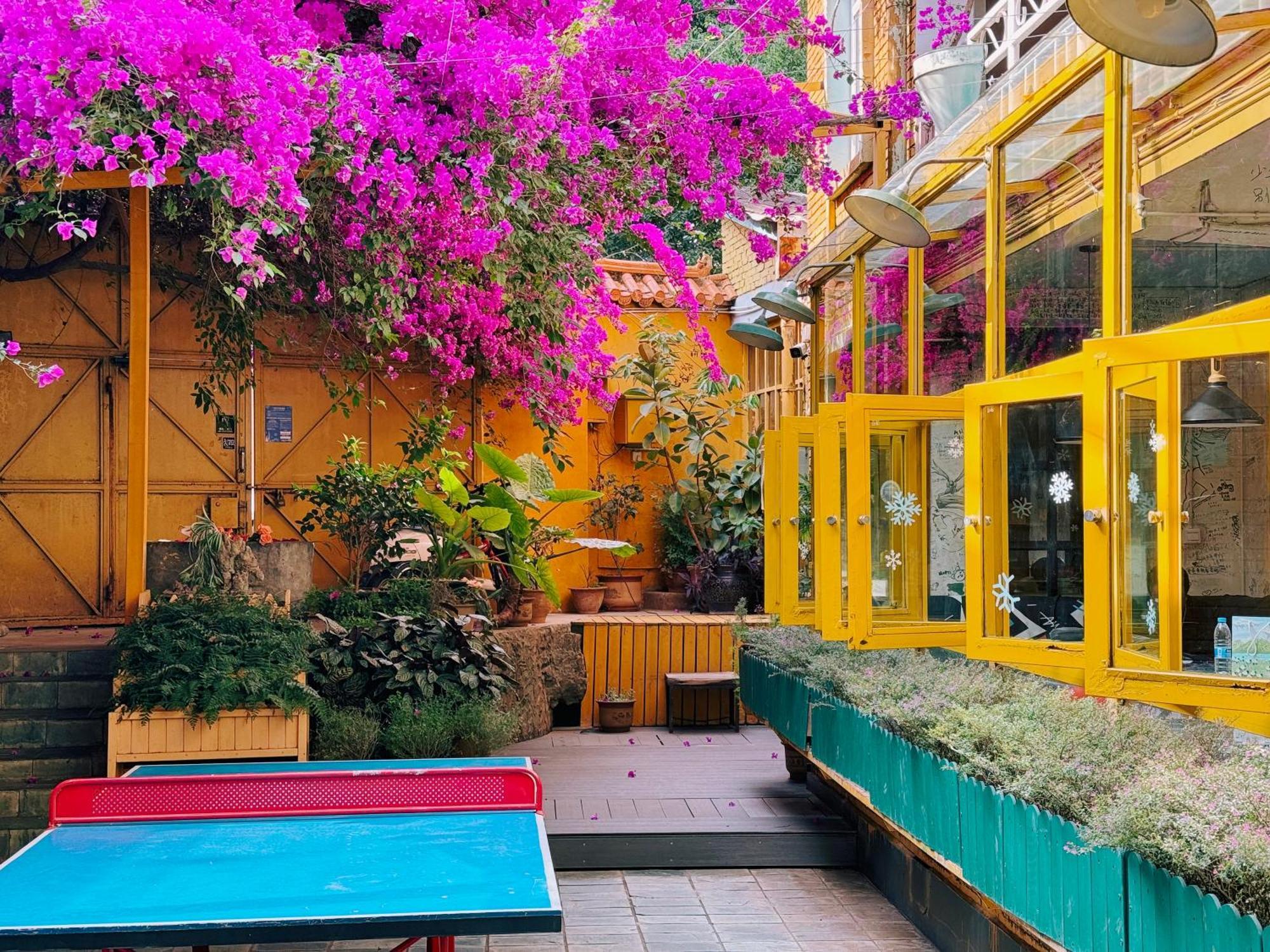 The Cloudland International Youth Hostel Close To The City Center,10 Min Walks To The Subway, Close To The Night Market, Old Street, Green Lake, English-Speaking Service, Free Activity Convenient Payment And Visa Cards Are Accepted Куньмин Экстерьер фото
